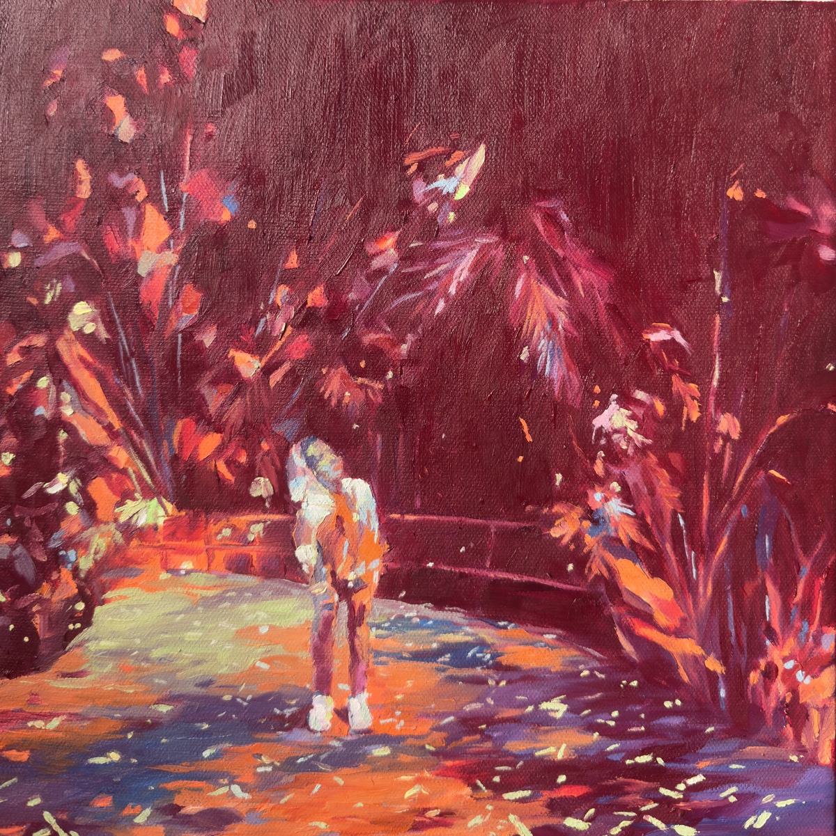 Fragments de lumière